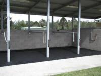 belli park 20110526 1618182526